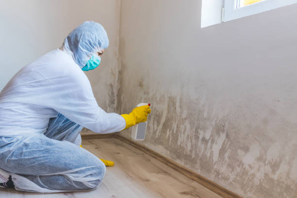Mold Remediation specialist working in Washington